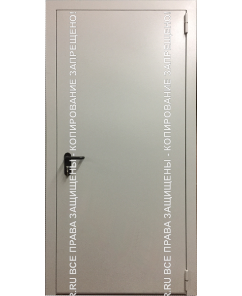 Металлическая офисная дверь Порошок 0010 Металлическая офисная дверь Порошок 0010